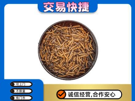 红河州屏边礼品回收虫草.jpg
